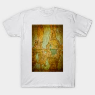 Canyonlands T-Shirt